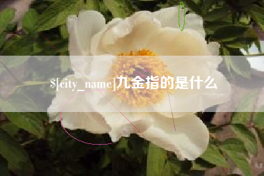 滨州九金指的是什么