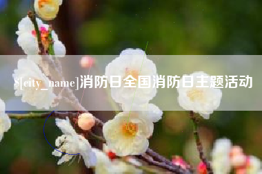 滨州消防日全国消防日主题活动