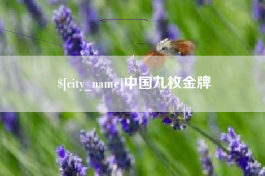 滨州中国九枚金牌