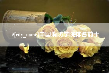 滨州中国消防学院排名前十