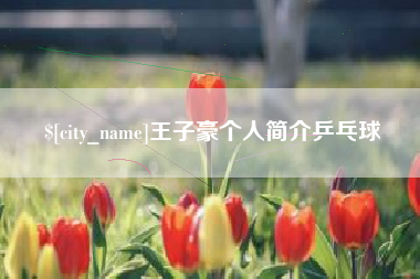 滨州王子豪个人简介乒乓球