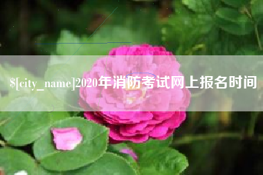滨州2020年消防考试网上报名时间