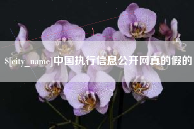 滨州中国执行信息公开网真的假的