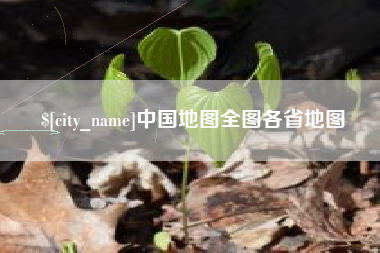 滨州中国地图全图各省地图