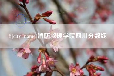 滨州消防救援学院四川分数线