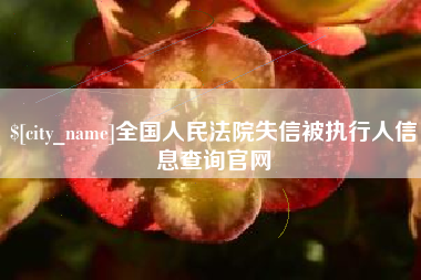 滨州全国人民法院失信被执行人信息查询官网