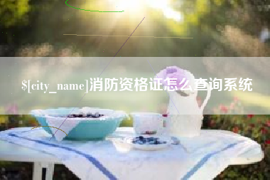 滨州消防资格证怎么查询系统