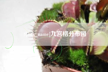 滨州九宫格分布图