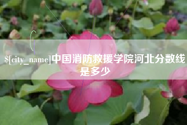 滨州中国消防救援学院河北分数线是多少