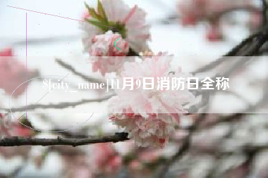 滨州11月9日消防日全称