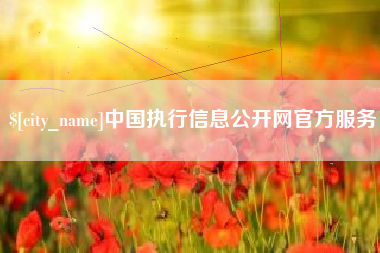 滨州中国执行信息公开网官方服务