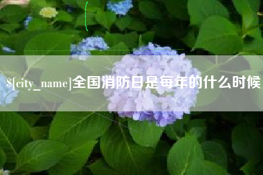 滨州全国消防日是每年的什么时候