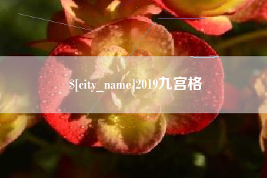 滨州2019九宫格