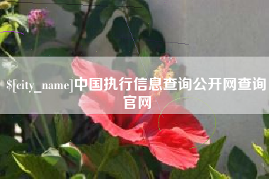 滨州中国执行信息查询公开网查询官网