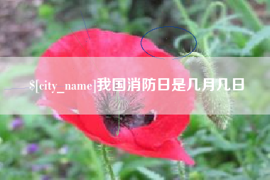 滨州我国消防日是几月几日