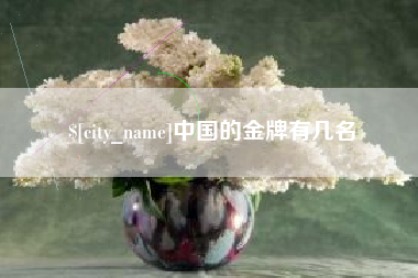 滨州中国的金牌有几名