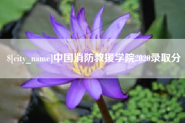 滨州中国消防救援学院2020录取分