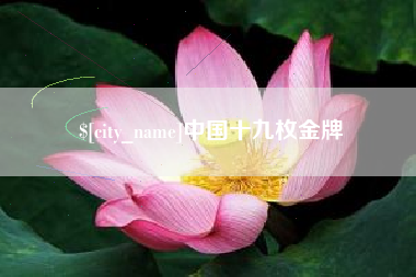 滨州中国十九枚金牌