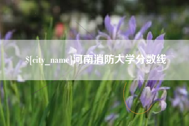 滨州河南消防大学分数线