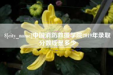 滨州中国消防救援学院2019年录取分数线是多少