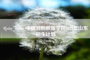 滨州中国消防救援学院2021年山东招生计划