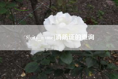 滨州消防证的查询