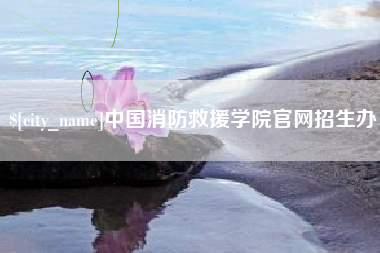 滨州中国消防救援学院官网招生办