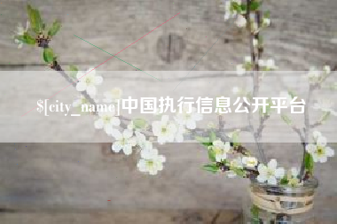 滨州中国执行信息公开平台