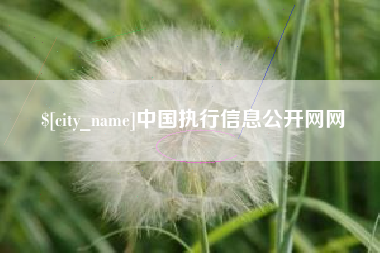 滨州中国执行信息公开网网