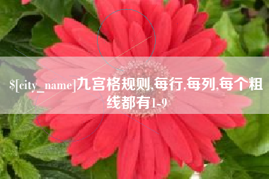 滨州九宫格规则,每行,每列,每个粗线都有1-9