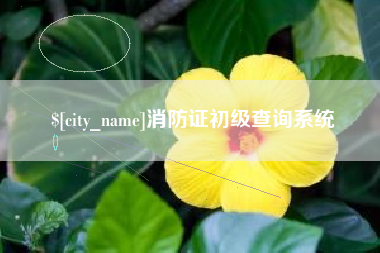 滨州消防证初级查询系统