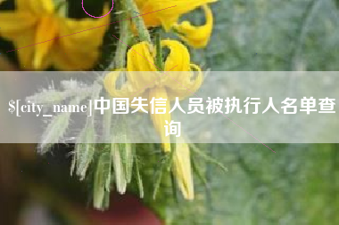 滨州中国失信人员被执行人名单查询