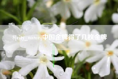 滨州中国金牌得了几枚金牌