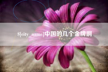 滨州中国的几个金牌啊