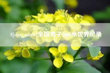 滨州全国男子5000米世界纪录