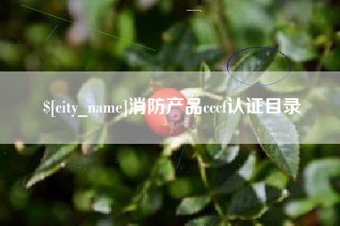 滨州消防产品cccf认证目录