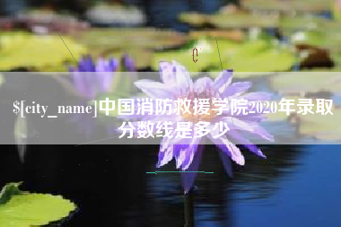 滨州中国消防救援学院2020年录取分数线是多少