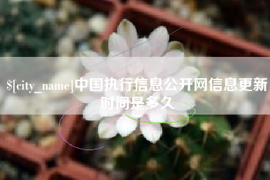 滨州中国执行信息公开网信息更新时间是多久