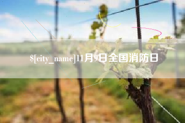 滨州11月9日全国消防日