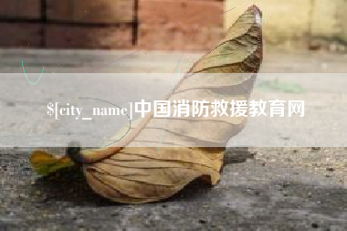 滨州中国消防救援教育网