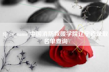 滨州中国消防救援学院辽宁省录取名单查询