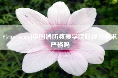 滨州中国消防救援学院对视力要求严格吗
