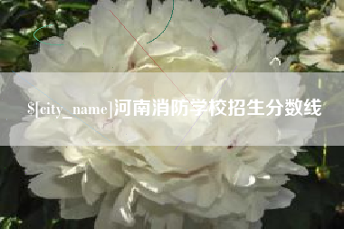 滨州河南消防学校招生分数线