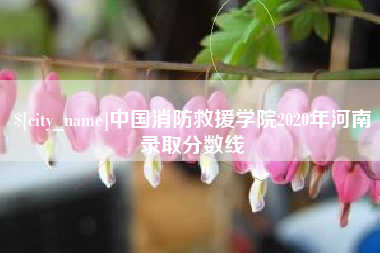 滨州中国消防救援学院2020年河南录取分数线