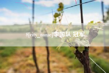 滨州中国队 冠军