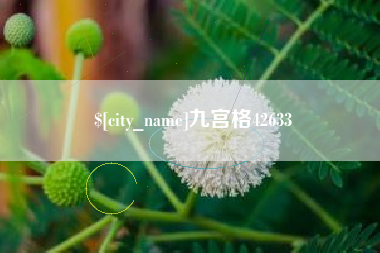滨州九宫格42633