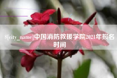 滨州中国消防救援学院2021年报名时间