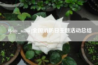 滨州全国消防日主题活动总结