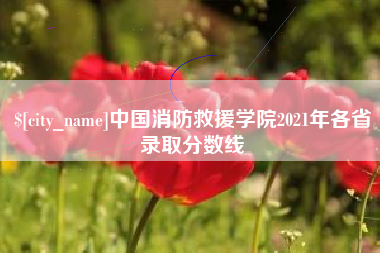 滨州中国消防救援学院2021年各省录取分数线