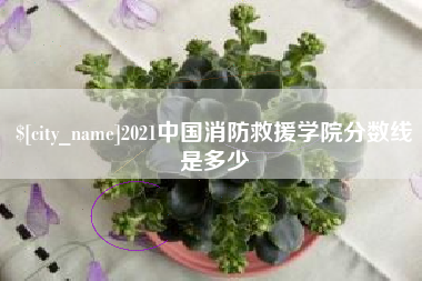 滨州2021中国消防救援学院分数线是多少